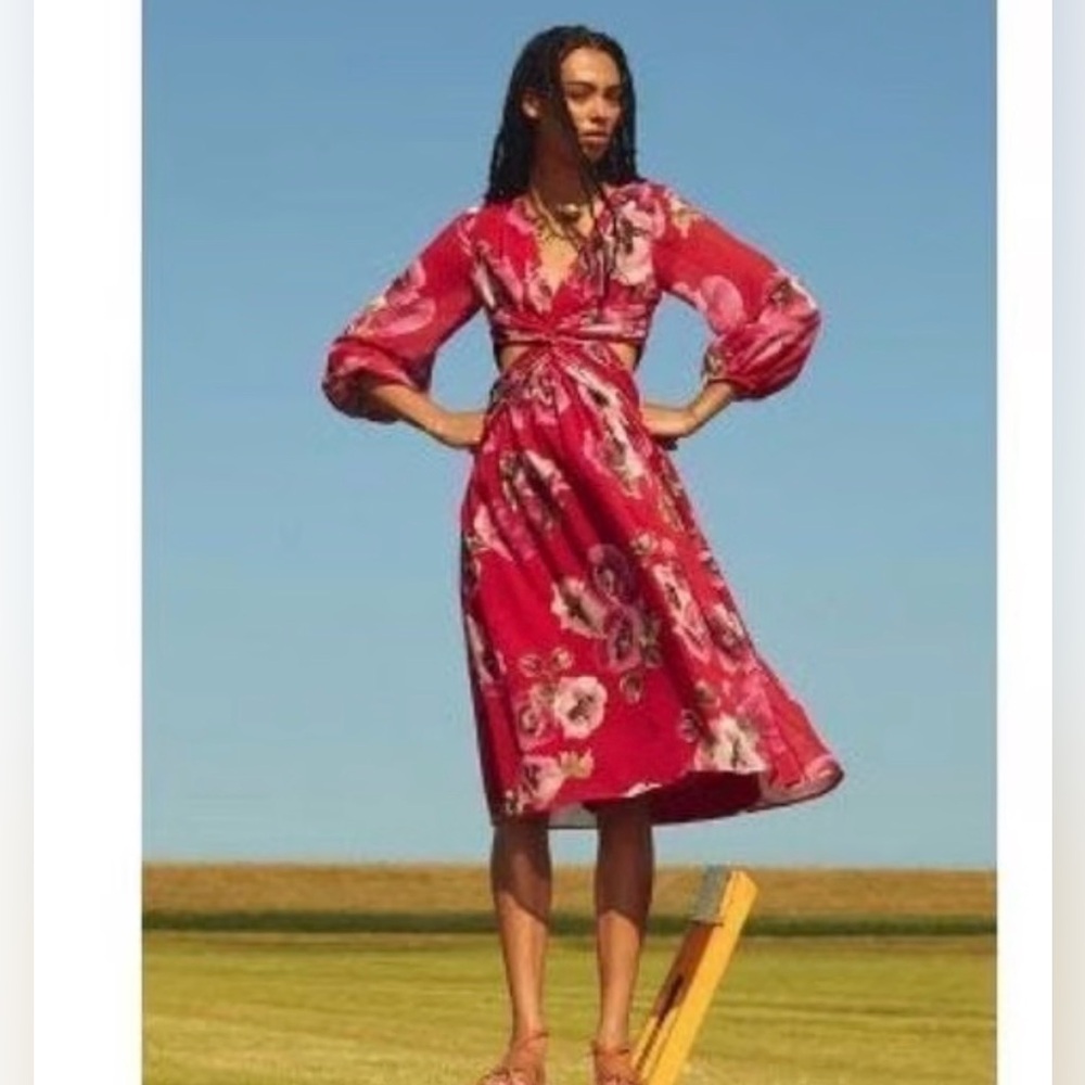Floral Red Dress with Pink and White Accents - Picture 3 of 4